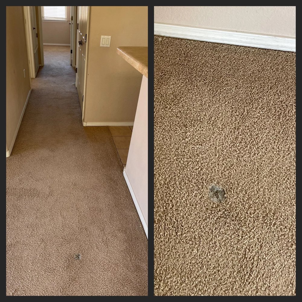 Caring Carpet Care